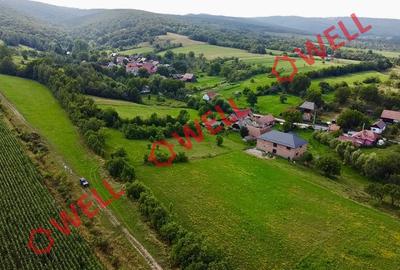 Teren intravilan de vânzare în Dalnic! - 7
