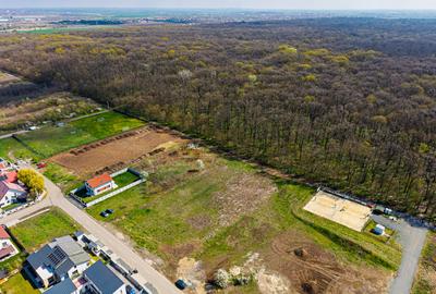 Teren construibil Dumbravita | langa Padurea Verde | Comision 0% - 12