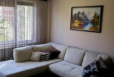 Apartament de inchiriat 2 camere Bulevardul Victoriei - Centrul Nou - 4