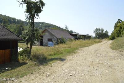 Bogati - Glimbocel, ferma zootehnica - cladiri 397 mp - teren 7490 mp! - 11
