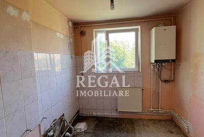 Apartament 3 camere – Ultracentral, vedere spre pietonală și Parc - 10
