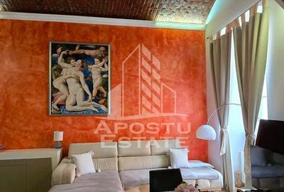 Apartament 1 camera de inchiriat, pet friendly, centru, Timisoara - 5