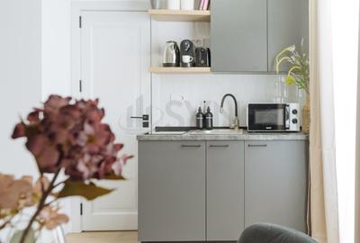 REA1027154 Apartament 2 Camere I Piata Romana I Investitie ready to run - 5
