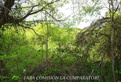 ZONA SUPERBA - TERENURI DE VANZARE - 19