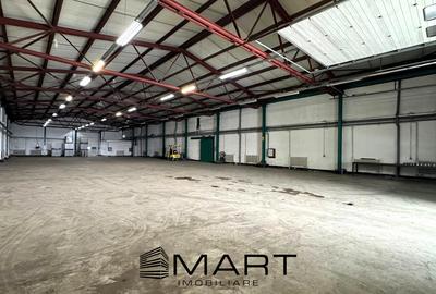 Hala 850mp zona industriala Vest - 1