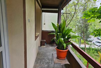 Oferta apartment cu 4 camere zona Banat pentru inchiriere - 9