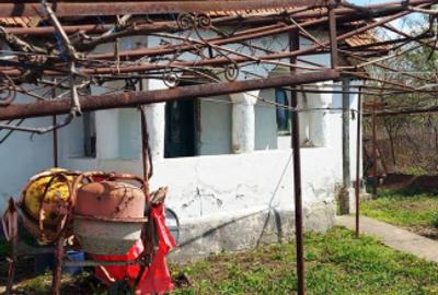 Casă cu hală industrială Drăguțești - 4