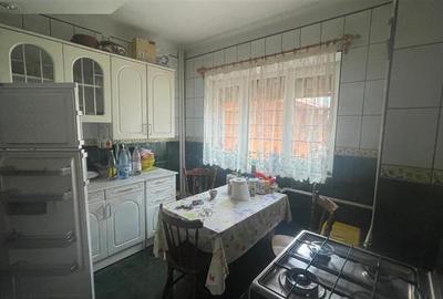 Ferdinand, cartier rezidential, vila burgheza cu magnolie - 5