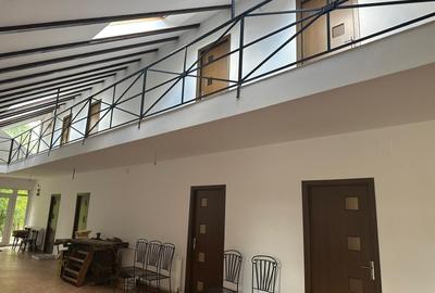 Casa Pensiune in Viile Satu Mare teren 1,63 ha, 11 camere, 10 bai - 6