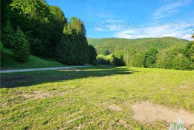 Teren Intravilan 12000 mp, Cascada Urlatoarea, proiect aprobat pentru Resort, la - 12