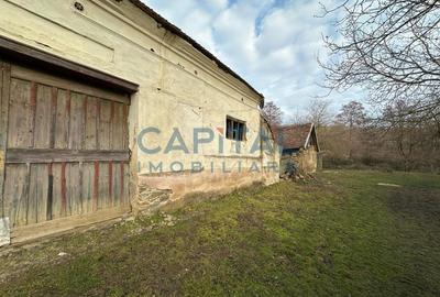 Casa in Secaseni, 30 de km de Resita - 2