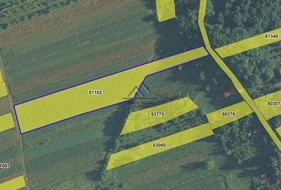 Teren intravilan 8147 mp – Băiculești, jud. Argeș - 1