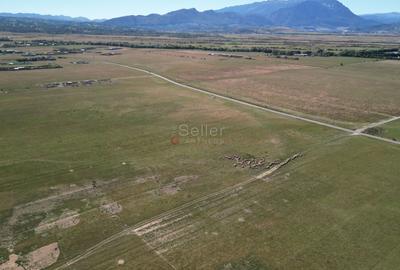 Teren extravilan Rasnov - 10