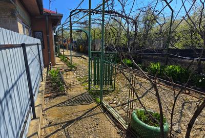 Casă 4 camere, 685 mp teren, renovată 2011 – Mănești, Zalhanaua - 49