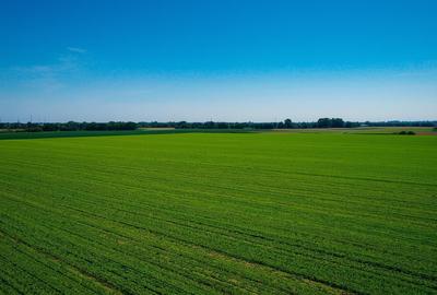 Vanzare Teren Extrav. divizate Arabil, Pășune Chesint, Zabrani48.86ha - 2