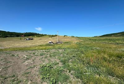 Teren extravilan cu priveliște deosebita, la liziera padurii – Dezmir - 3