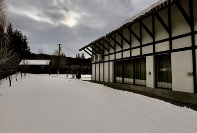 VILA DE INCHIRIAT IN MIJLOCUL NATURII - 23