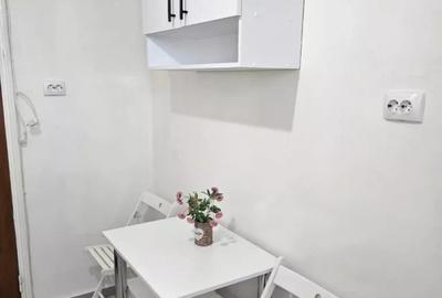 Apartament 2 camere-Mobilat/Utilat-Dristor-Camil Ressu - 6