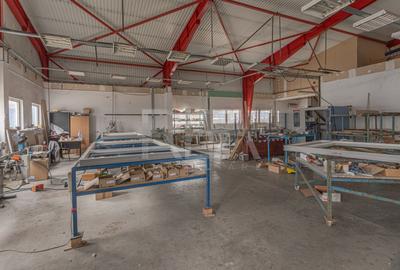 Doua hale / spatiu industrial + birouri 5000 mp / Sector 4 - 7
