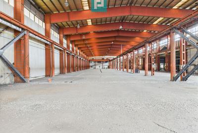 Hală industrială cu pod rulant și parcare betonată - 8