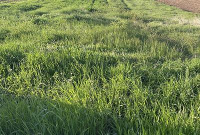 Teren Intravilan de vanzare in Alba Iulia zona Micesti in suprafata de 1077 mp - 2