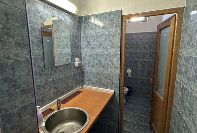 Spatiu comercial Calea Aradului - 18