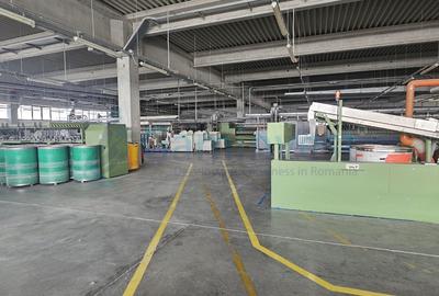 Hala Industriala de vanzare 6500 mp in Madaras la 30 km de Oradea, Bihor - 20