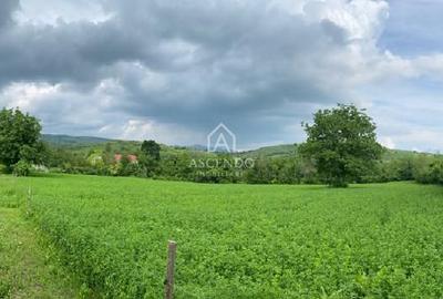Domeniu 15.900 mp în Fințești | Casă + Investiție Dealu Mare - 9
