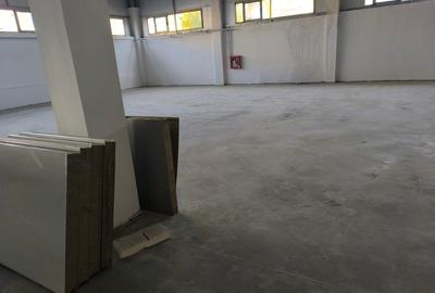 Inchiriere spatiu depozitare sau productie  sos. Giurgiului - 8