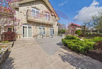 Vila de vanzare | Sala fitness | Mogosoaia - 13
