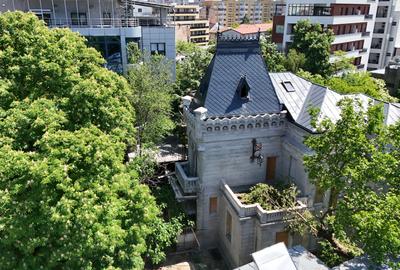 Vila istorica in zona Armeneasca - 1