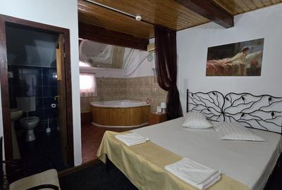 REC3001760 Hotel investitie de vanzare Domnesti - 12