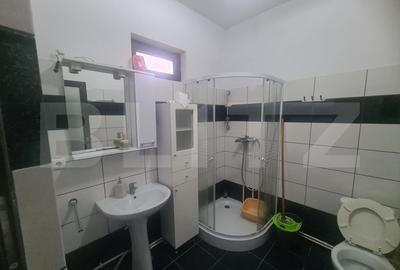 Casa individuala, 2 corpuri, 133 mp, zona Pacurari - 7