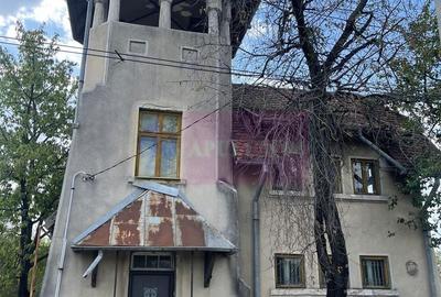 Casa de vanzare (vad comercial) - 5