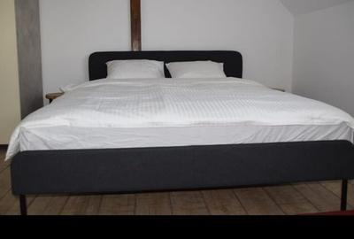 Casa superba  zona Eminescu | Mosilor - 11
