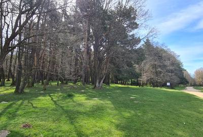 TEREN AGRICOL EXTRAVILAN - RECI - COVASNA - 9