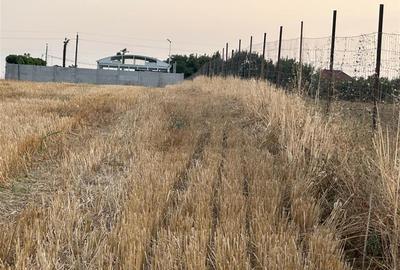 TEREN 2500MP BALACEANCA - 6