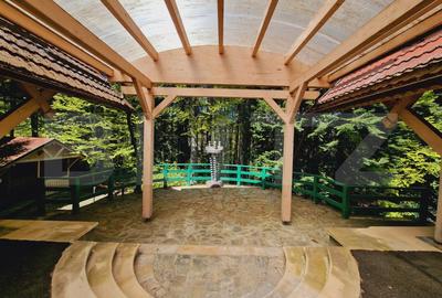 Casa in zona Trei Brazi,Predeal - 16