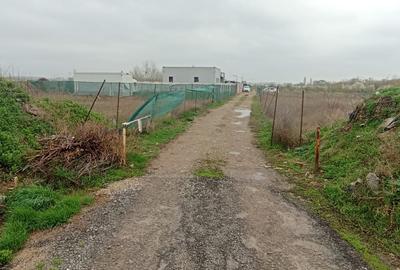 Vanzare teren 12500 mp la sosea pe str Gladiolelor Prelungirea Ghencea Sect 5 - 2