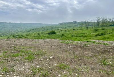 TEREN Extravilan 5100mp Aroneanu cu Vedere la Lac, 92.500€ - 1