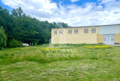 Spatii productie si depozitare, zona Sebis - Prunisor-Carand - 4