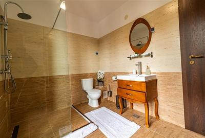 Descopera oportunitatea! Imobiliar&Transfer Business in inima statiunii Poiana B - 44