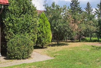 Casa P+M singur in curte, cu teren 1000mp, zona Calea Dumbravii - 4