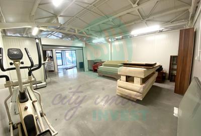 Spatii comerciale de inchiriat, Piata Delfinului - 3