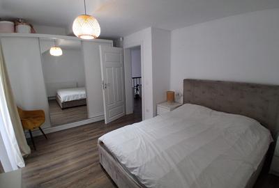 Casa Individuala Valea Budacului 500mp teren - 8