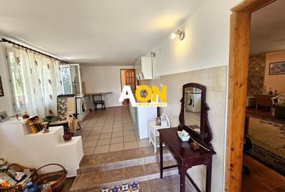 Casa tip cabana de vacanta, 5 camere, 2300 mp teren, zona Schit - 7