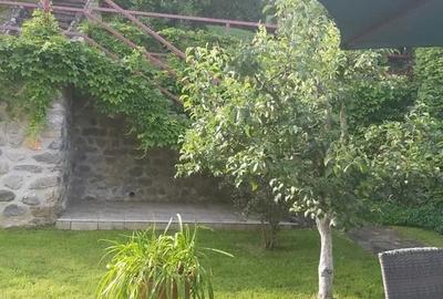 Casa si teren de vanzare langa Baile Govora - 7