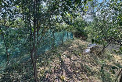 Casă individuală – Someșeni, teren generos 625 mp - 12