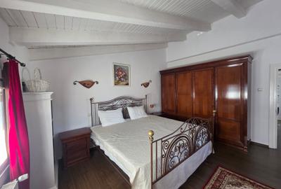Vand casa P+M central - 9