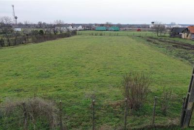Teren intravilan de 2.623 mp in Les – la 20 min de Oradea - 1